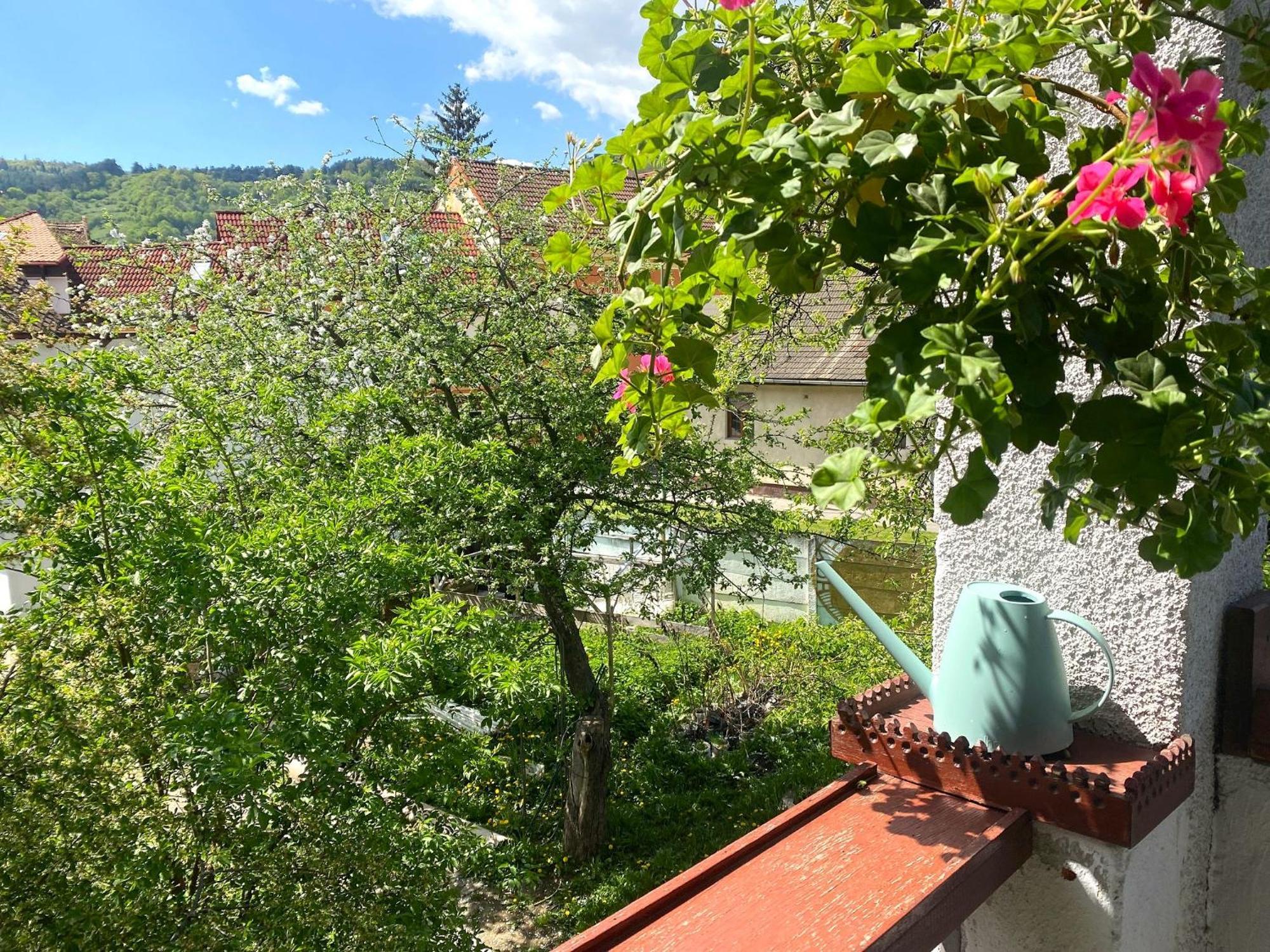Rose'S Oldtown Apartment Brasov Luaran gambar